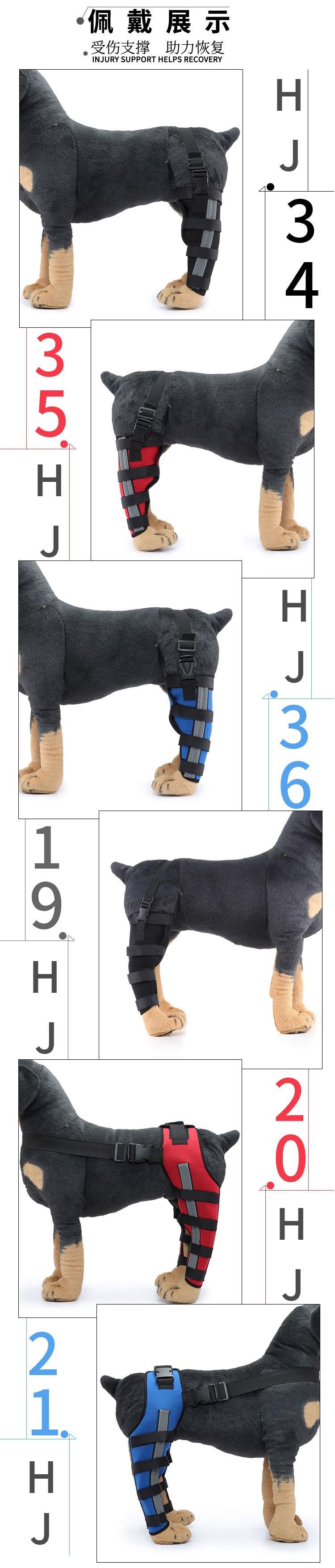 12.JPG