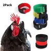 Collar Antigallo para Gallo Transfronterizo Correa para el Cuello de Mascota Gallo Set de 2 Piezas Sin Gancho Nudo Collar