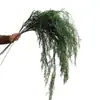 Hierba de Caña Artificial, Hierba Bigote de Dragón, Planta Verde de Moda para Paisajismo, Material de Flor Colgante para Techo, Decoración Suave Estilo Bosque para Bodas al por Mayor