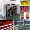 Sala de secagem com temperatura controlada de Sichuan, caixa de secagem de alimentos e vegetais de aço inoxidável com 24 placas, equipamento pequeno para secagem de pimenta