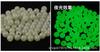 Cuentas luminosas de plástico DIY pequeños accesorios frijoles de bloqueo Luya monstruo de agua pesca de roca cuentas fluorescentes pesca grupo de pesca equipo de pesca pesca
