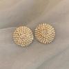 Brincos de Franja com Strass de Diamante e Pino de Prata Moda Europeia e Americana Brincos de Vento Frio Alto Senso Joker Elegante Elegante Brincos Atacado