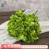 Simulação de Buquê de 5 Cabeças de Hortênsia Flores Artificiais Hortênsia Artificial Atacado Produtos Acabados para Decoração de Casamento e Paisagismo