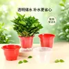 Maceta Auto-Riego para Personas Perezosas Maceta de Plástico Doble Capa Maceta para Potos Maceta Absorbente de Agua Maceta Hidropónica Transparente para Cultivar Flores Plantas