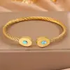 Pulseira de Aço Inoxidável com Fio de Ferro Torcido, Pulseira de Coração Dupla, Não Desbota, Estilo Europeu e Americano da Moda, Pulseira Aberta Venda por Atacado
