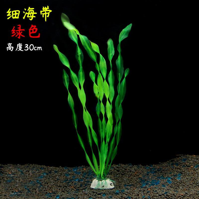 细海带绿色