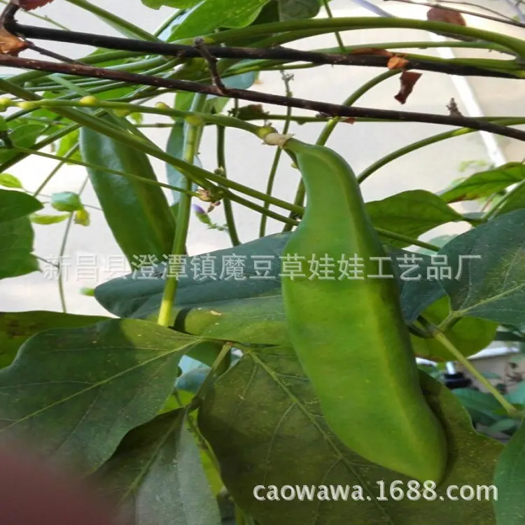 983bd4ea6ebaf7d3f566b99790d90f