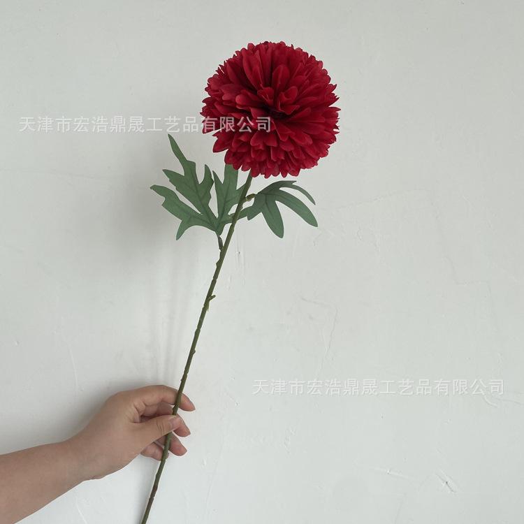 微信图片_202206141501376_副本