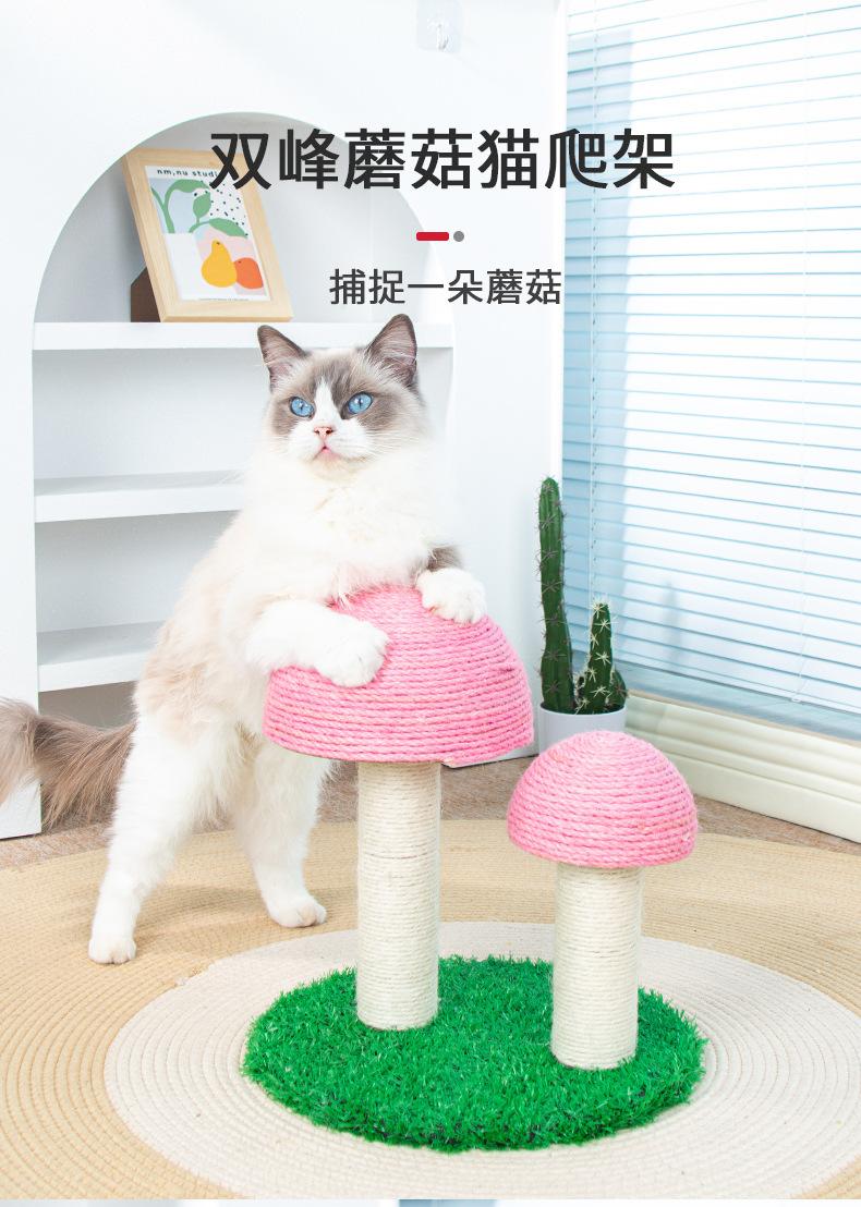 粉色蘑菇_01.jpg