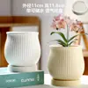 Vaso de Cerâmica para Flores com Prato, Estilo Ins de Luxo Leve, Diâmetro Grande, Estilo Creme, para Orquídeas e Suculentas, Liquidação