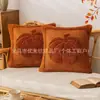 Funda de Almohada de Calabaza de Felpa 3D de Otoño Más Vendida Transfronteriza Funda para Cojín de Sofá Funda para Respaldo Venta al por Mayor Temu Dropshipping