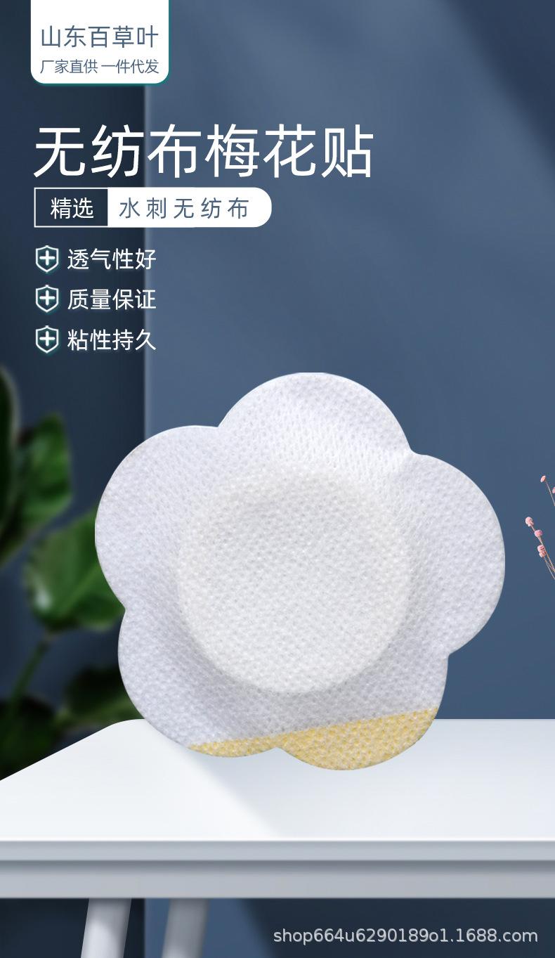 梅花贴_01.jpg