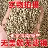 Pimienta Blanca Auténtica de Hainan, Granos de Pimienta Blanca, Polvo de Pimienta Blanca, Pimienta Blanca para el Hogar al por Mayor 500g, Granos de Pimienta Blanca