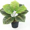 Planta de Simulación Planta Verde Planta en Maceta Decorativa Hojas Falsas Hojas de Tortuga Hojas de Lluvia de Primavera Pared de Plantas Material a Juego 9 Hojas Pegadas