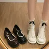Moda Retro Francesa Preto Salto Alto Grosso Sapatos Pequenos de Couro Feminino 2026 Novo Verão Versátil Mary Jane Sapatos de Salto Único