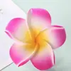 Accesorio para el Cabello Estilo Coreano Flor de Plumeria Pasador Hecho a Mano 4- 7cm Paquete de 100 Flores Vacaciones en la Playa Huevo Metabo