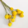Decoração de flor seca de algodão vintage ins Arranjo de flores da moda rede-vermelha Miosótis algodão espiga de trigo diy adereços para fotografia de casa