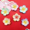 Serie de flores de cinco pétalos con degradado de simulación colorida, accesorios de resina para bricolaje, funda para teléfono móvil, tocado, horquilla, taza de agua, hebilla para zapatos, parche