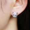 Cao Shi Amazon Venta Caliente Nuevo Personalizado Combinable Diamante Completo Zirconio Aretes Cabeza de Leopardo Damas Elegantes Aretes de Calle