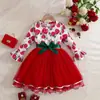 Vestido Longo com Estampa de Rosas para Meninas Laço Verde Escuro Saia de Gaze Vermelha Venda Quente Transfronteiriça Saia de Outono e Inverno para Bebê Menina