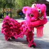 Juego Completo de Accesorios para Danza del León de Adulto, Suministros para Danza del León de Foshan, Cabeza de León del Sur para Danza del León, Juego Completo de Accesorios para Danza del León de Doble Cabeza