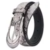 Cinturón Guangzhou Patrón Serpiente Cinturón Moda Retro Cinturón de Alta Gama Moda Versátil Decorativo Cinturón para Jeans