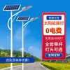 Nova Luminária Solar LED de Rua Estilo Étnico Rural Iluminação Externa em Poste Alto 4- 12m Luminária de Rua para Projeto Municipal Personalização