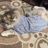 Nuevo suéter casual de punto trenzado de color liso para otoño e invierno para perro, moda, cómodo, ropa para mascotas, ropa cálida en stock