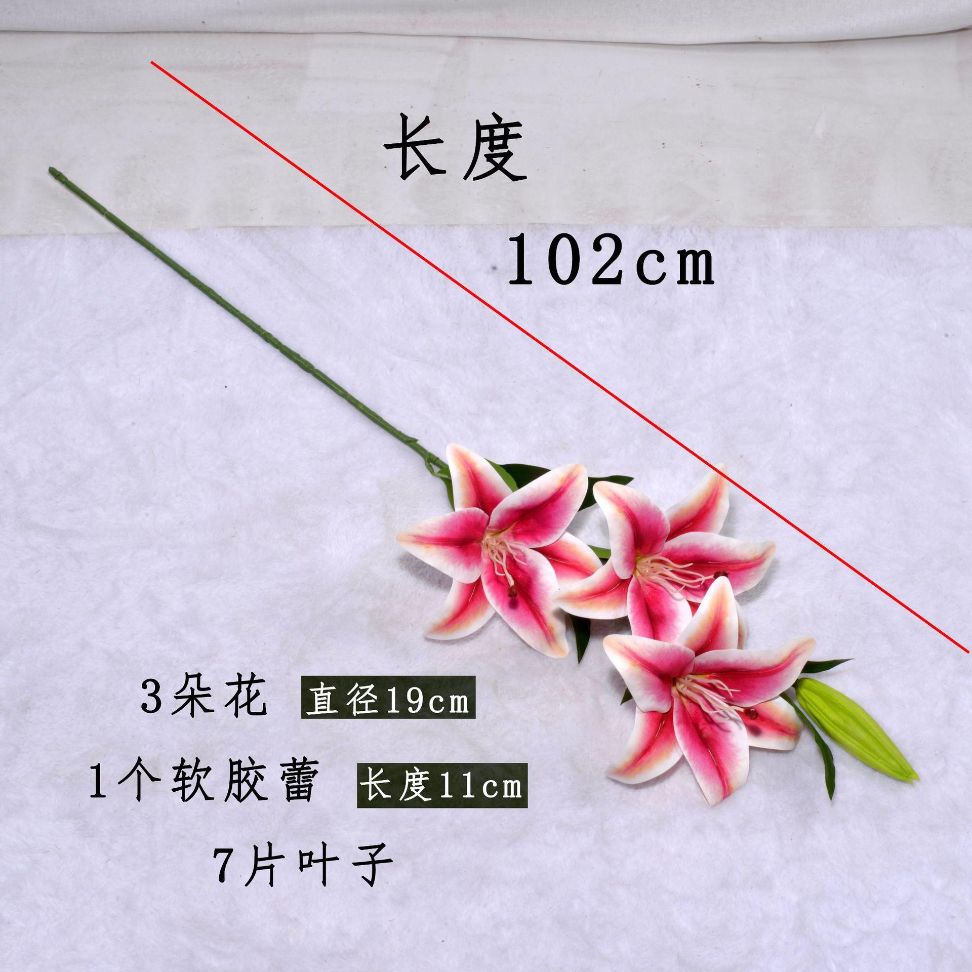 尺寸.JPG