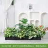 [Série Hc-An7] Caixa de Flores de Planta Verde Simulada Decoração de Sala de Estar Interna Janela de Chão a Teto Paisagismo Fotografia de Casamento Estrada