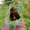 Espécime de borboleta real espécime de inseto cola de cristal resina transparente ornamentos pequenos criativos jardim de infância atrações turísticas venda quente