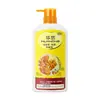 Champú de Agua de Arroz Integral Jengibre Personalizado OEM Nutritivo para el Cuero Cabelludo Champú de Agua de Arroz Jengibre Control de Grasa Voluminizador Anticaspa