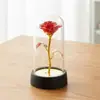 Adorno de Cúpula de Cristal con Flor Preservada, Regalo de San Valentín, Flor de Rosa, Día de la Madre, Regalo Creativo Pequeño de Navidad, Transfronterizo
