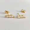 Venta Caliente Transfronteriza Pendientes de Plata S925 con Microincrustaciones de Circonita para Agujeros en las Orejas Exquisitos Pequeños Pendientes de Sentido de Diseño de Nicho de Temperamento