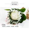 Decoración de Flores Artificiales de Primavera Flor Dominante Flor Artificial Hecha a Mano Diseño de Escena Flor Artificial Afelpada Venta al por Mayor Flor Artificial Imperial