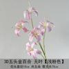 Novo Lírio Dourado de 5 Cabeças Lírio 3D Guia de Caminho de Casamento Flor Artificial Adereços de Fotografia Novo Galanthus Lírio Transfronteiriço