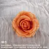 Pared de Flores simulación cabeza de flor de rosa hecha a mano DIY flor de rosa rosa Anna rosa rizada flor artificial venta al por mayor