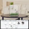Acuario de Plástico para el Hogar, Tanque No Reflectante para Peces Dorados, Acuario Multifuncional, Mini Tanque para Guardar Peces Ornamentales Acrílicos