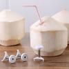 Abridor de Coco de Aço Inoxidável Ferramenta Manual de Coco para Abrir Cocos Verdes e Cascas de Coco, Faca Macia para Abrir Ovos de Coco, Régua Macia, Canudo