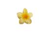 Horquillas de Plumeria Coloridas Transfronterizas Europeas y Americanas, Horquillas de Alta Gama y Exquisitas, Pétalos de Flores, Horquillas, Pinzas de Tiburón para Mujer