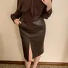 Nueva camisa de otoño con diseño de cuello alto y lazada en color marrón, top elegante y con estilo de manga larga para mujer