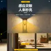 Luz de Jardín Exterior a Prueba de Lluvia con Sensor de Movimiento Alimentada por Energía Solar, Modelo Nuevo Luz de Césped de Inserción en el Suelo