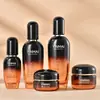 Veta plateada 40ml-120ml Set de Botellas Cosméticas 50g Botella de Crema Producto para el Cuidado de la Piel Botella de Vidrio Botella de Botella de Esencia Loción