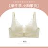 Ropa interior de mujer, sujetador push up de pecho pequeño, inalámbrico, ajustable, antiflacidez, con encaje, parte superior gruesa y soporte