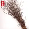 Registro Madeira Morta Bétula Janela Pousada Moderno Zen Galho Galho Decoração Tronco de Bétula Arranjo de Flores Galho de Bétula