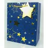 Bolsa de presente de alta qualidade bolsa de mão ins logotipo personalizado caixa de embalagem de papelão impressão personalizada em papelão glitter estampagem a quente