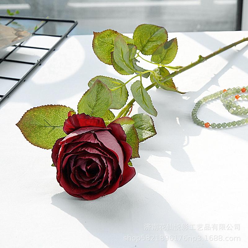 单支复古英国玫瑰