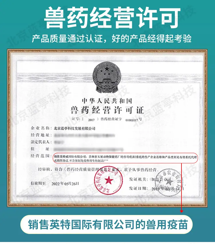 多格多英特威水印_02.jpg
