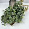 Plantas Verdes Simuladas Hojas de Eucalipto Accesorios para Fotografía de Boda Juego Pared de Fondo Hojas Falsas Plantas Verdes Falsas Transfronterizo