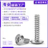 Tornillos Autorroscantes de Acero Inoxidable 304 con Cabeza Plana Grande en Forma de Cruz Tt Tornillos Autorroscantes Pequeños con Cabeza Redonda Grande Cola Plana M2M5